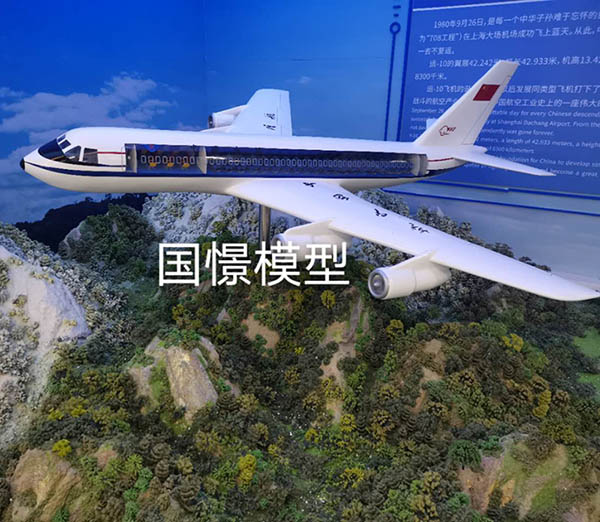 正安县飞机模型
